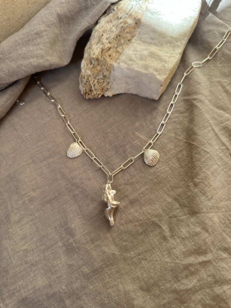 Seashells pendant