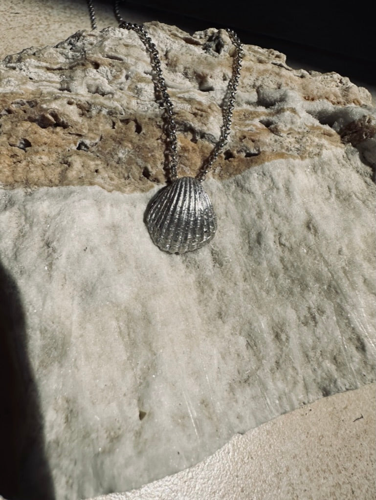 Seashell pendant
