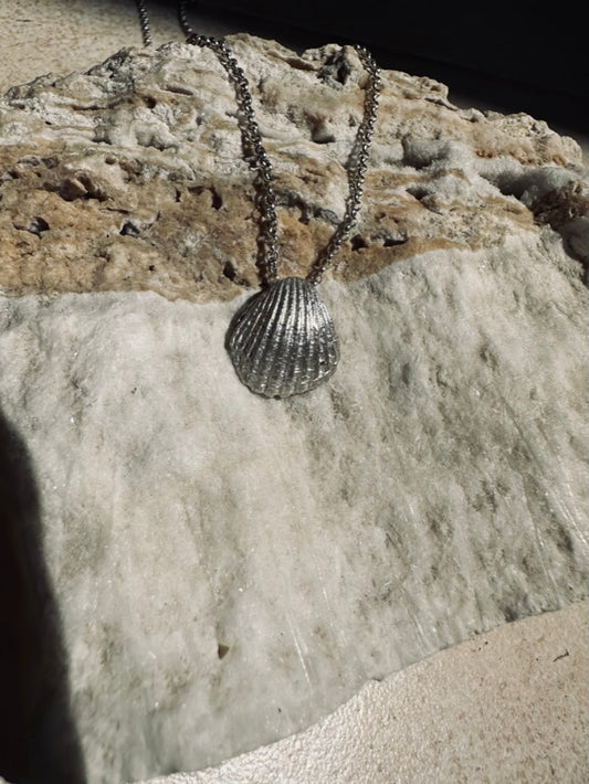 Seashell pendant