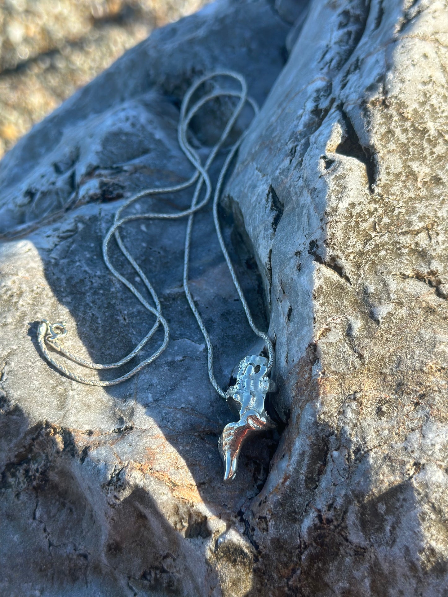 Broken seashell