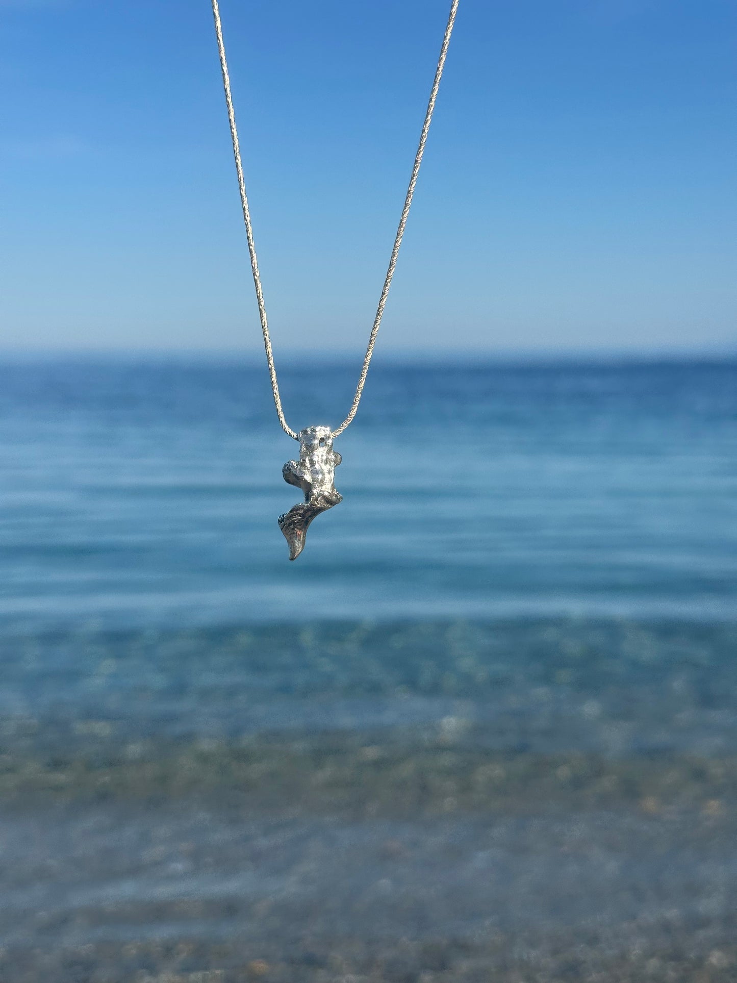 Broken seashell