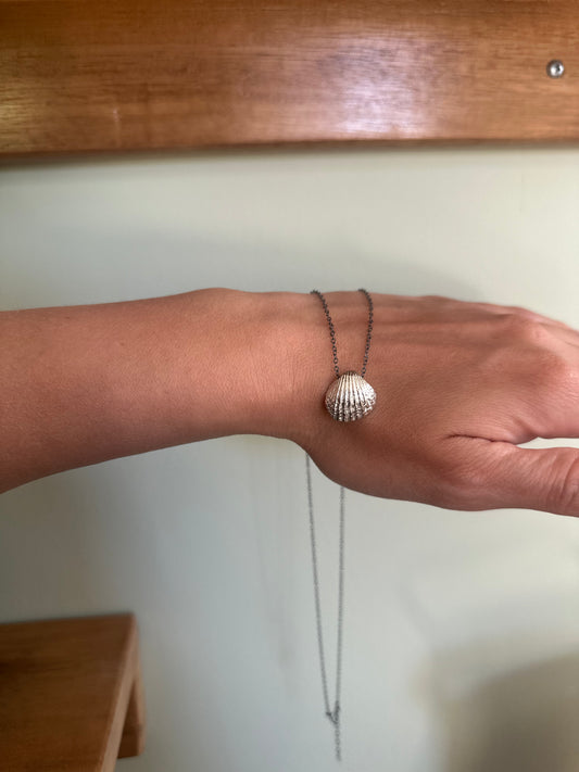 Seashell pendant